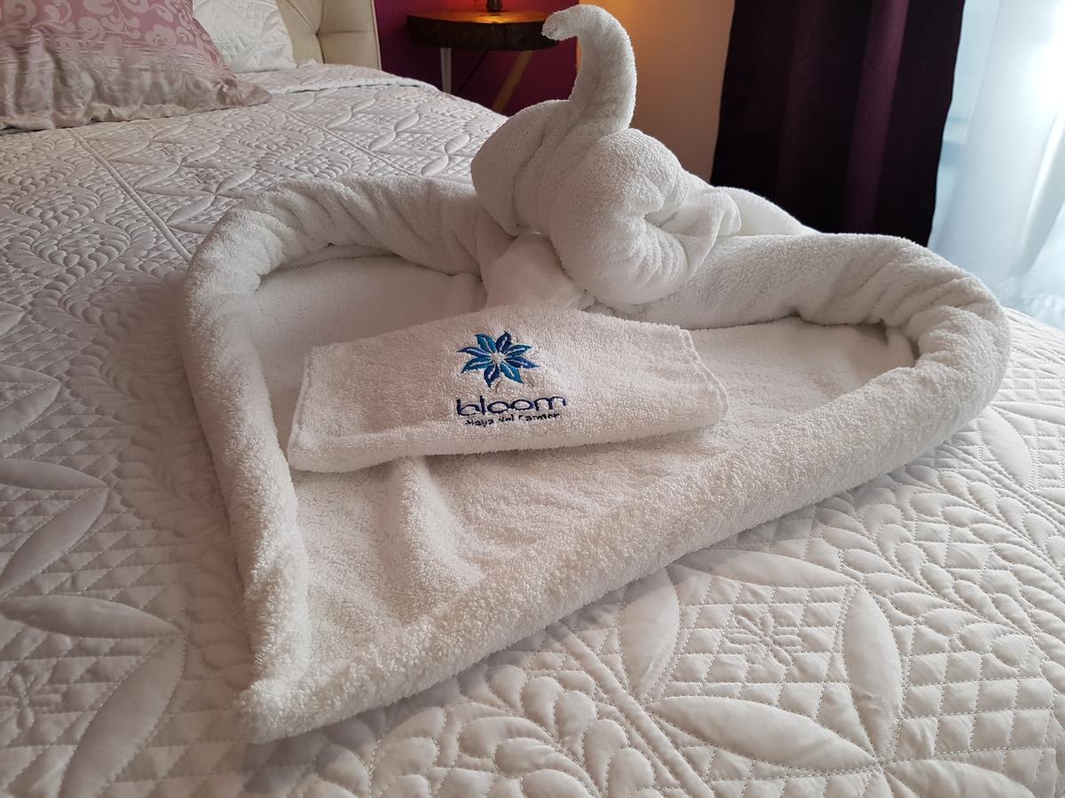Bloom! Exclusive Boutique B&B (Adults Only) Playa del Carmen Kültér fotó